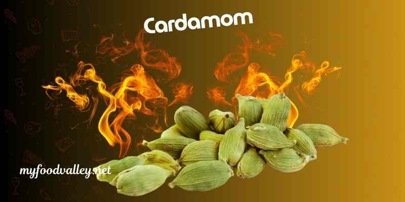 biryani spice cardamom