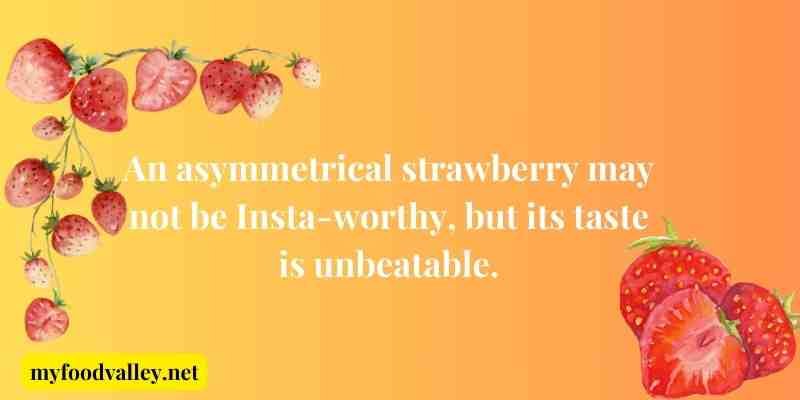 Ugly Food Quotes