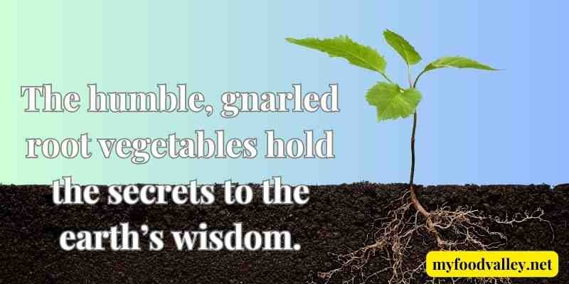Ugly food quotes