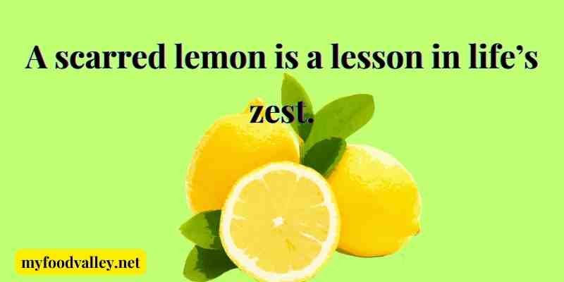 Ugly food quotes