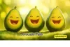 300+ Cute Avocado Puns One Liner for Instagram Captions, and Stories - Post Thumbnail