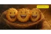 200+ Biscuit Puns for Toasting at Tea Parties — Oh Crumbs, What a Treat! - Post Thumbnail