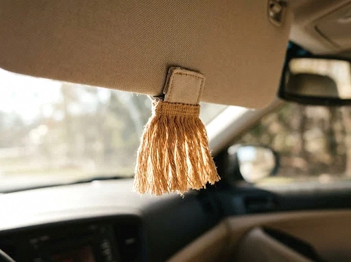 fringe-trim sun visor clip