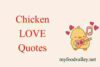 50 Chicken Love Quotes | A Funny Chicken Meat Quotes Collection - Post Thumbnail